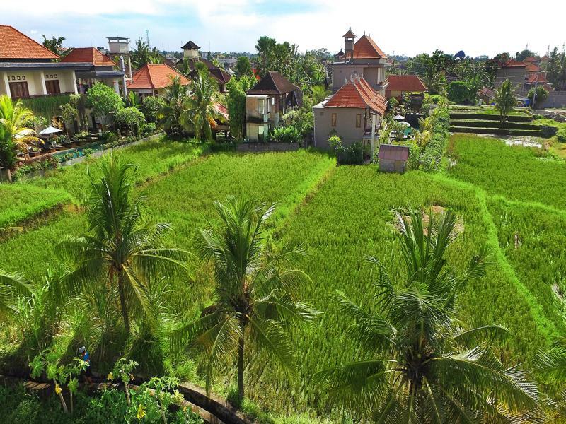 Bisma Cottages Ubud Экстерьер фото