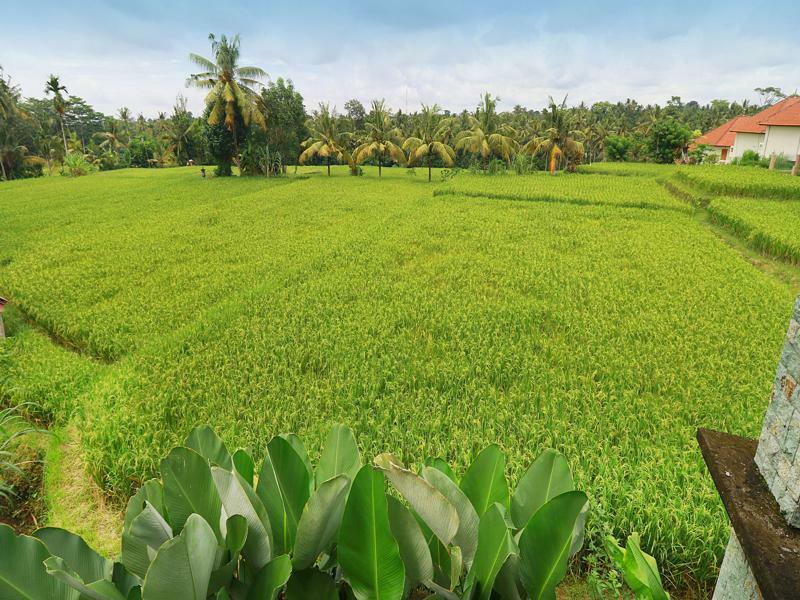 Bisma Cottages Ubud Экстерьер фото