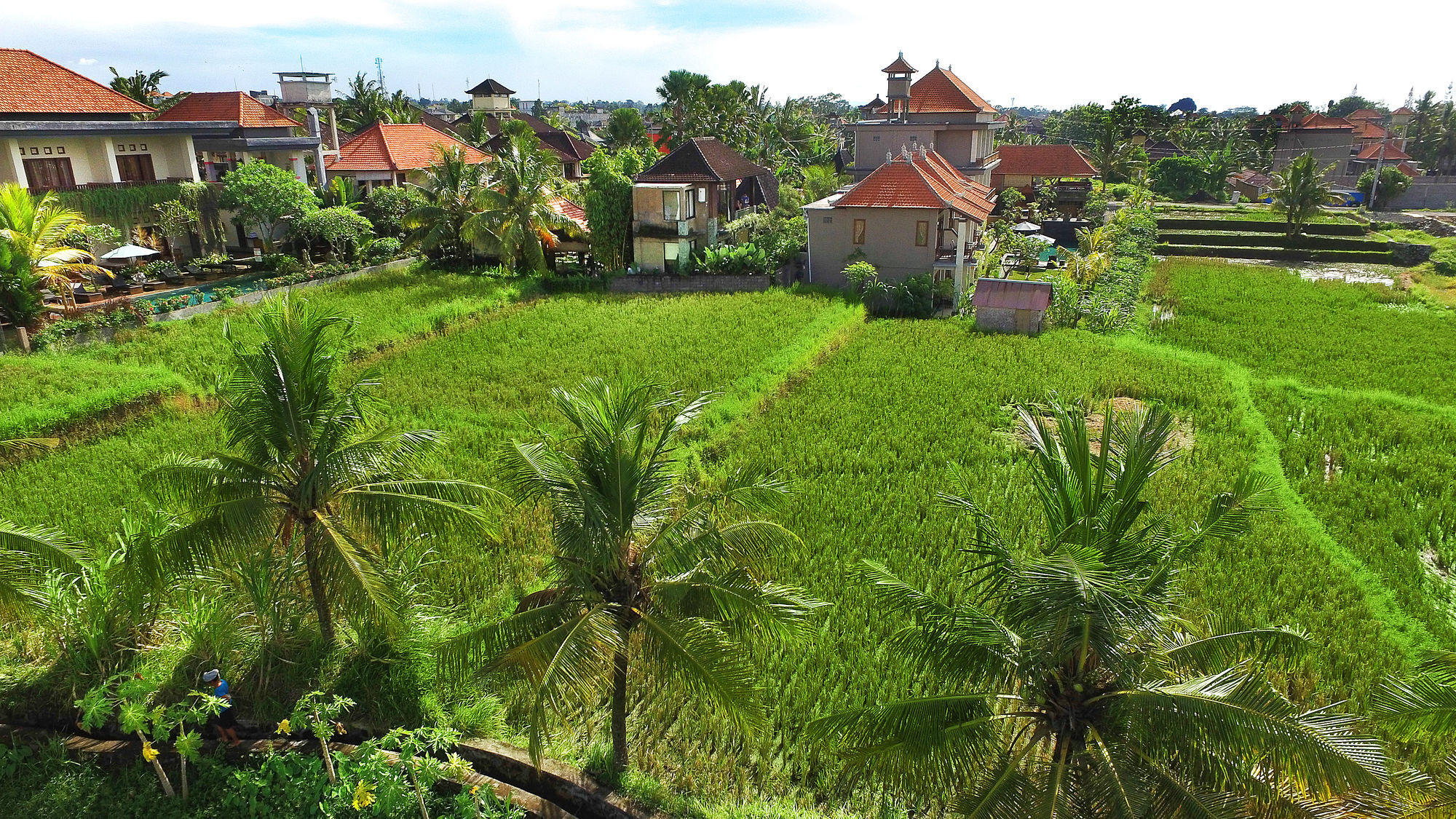 Bisma Cottages Ubud Экстерьер фото