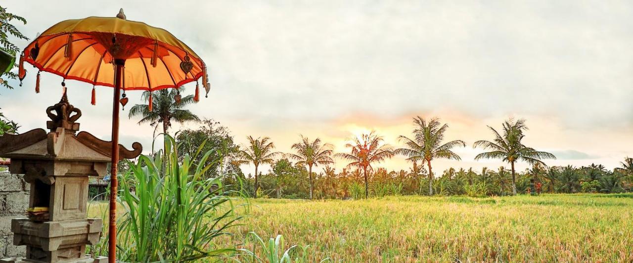 Bisma Cottages Ubud Экстерьер фото